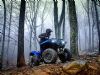 2019 Yamaha Grizzly 700 Gallery 2